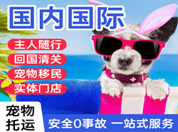 乌兰浩特航空运输国际宠物托运 【国